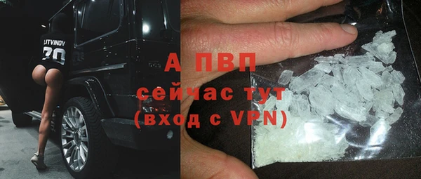 амф Белокуриха