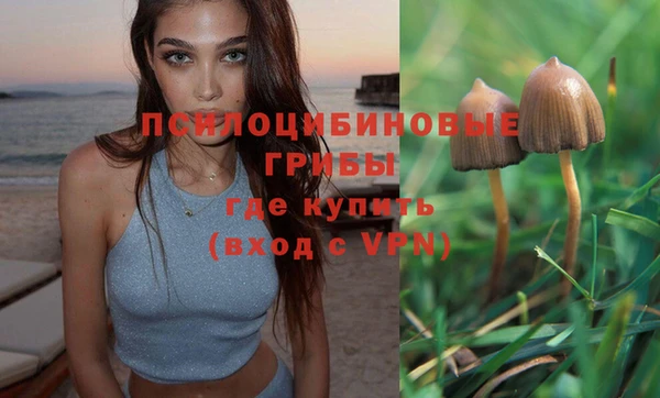 гашиш Беломорск