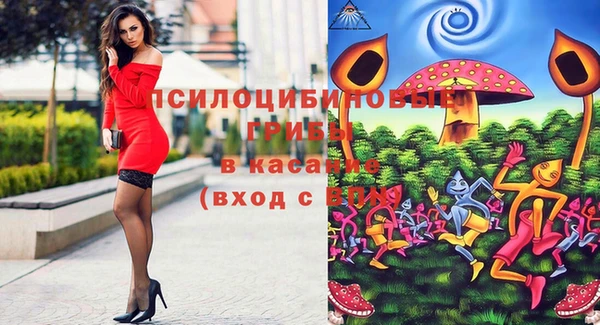 амф Белокуриха