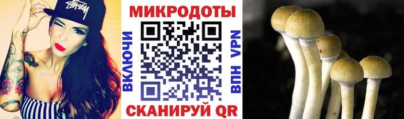 Галлюциногенные грибы мухоморы  Буйнакск 